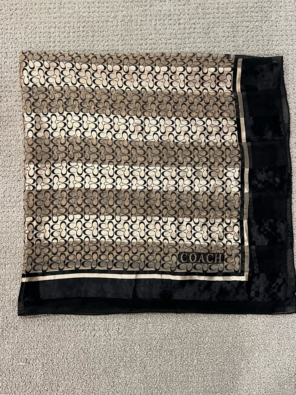 Coach scarf